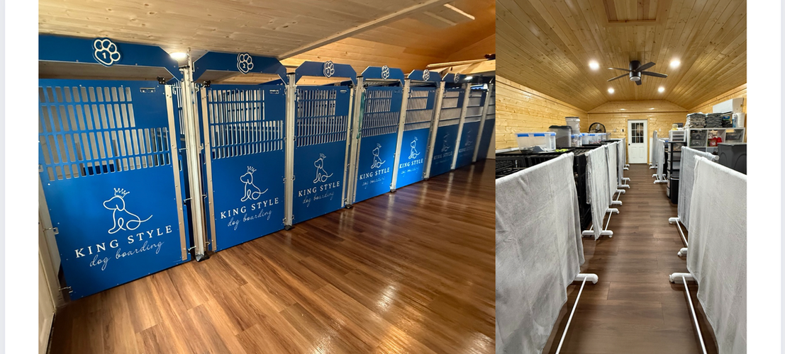 King Style Dog Boarding facility